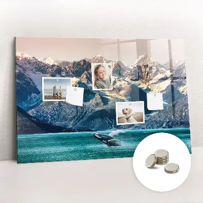 Whale themed magnetic wall board