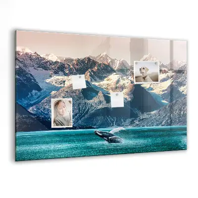 Whale themed magnetic wall board