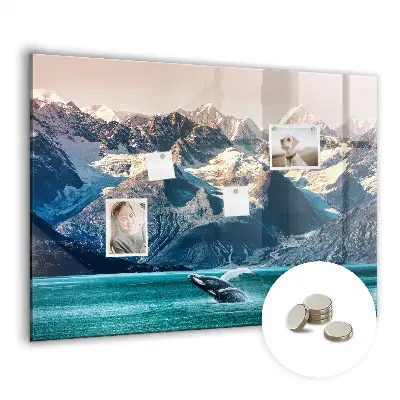 Whale themed magnetic wall board