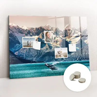 Whale themed magnetic wall board