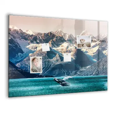 Whale themed magnetic wall board