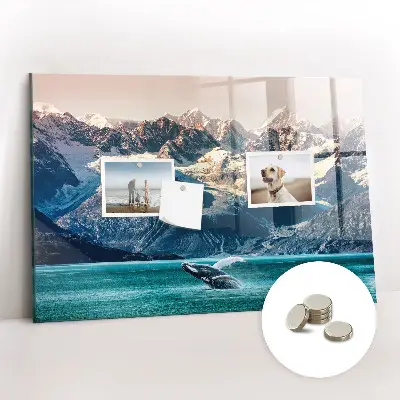 Whale themed magnetic wall board