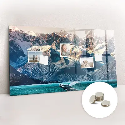 Whale themed magnetic wall board