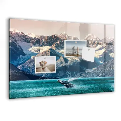 Whale themed magnetic wall board