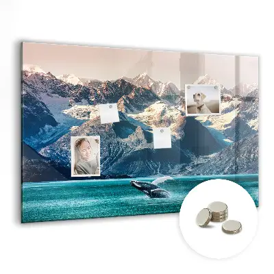 Whale themed magnetic wall board