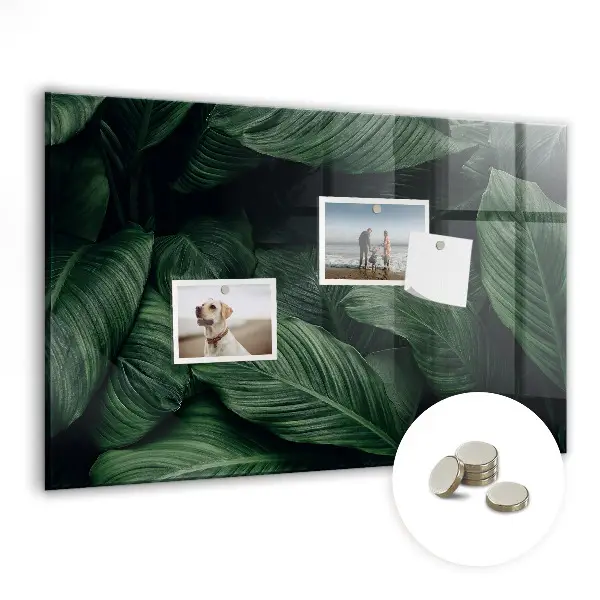 Magnet board Tropical monstera