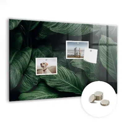 Magnet board Tropical monstera