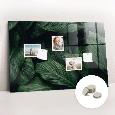Magnet board Tropical monstera