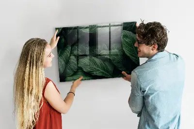 Magnet board Tropical monstera