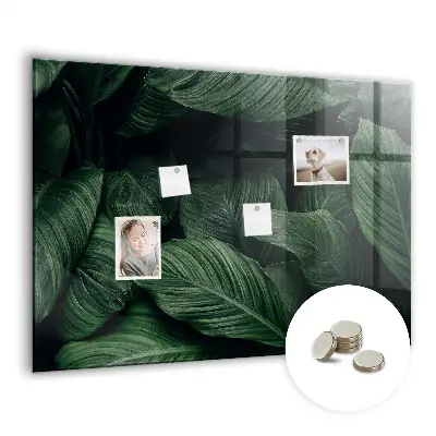 Magnet board Tropical monstera