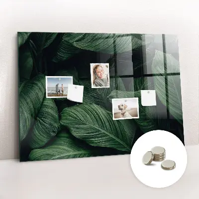 Magnet board Tropical monstera