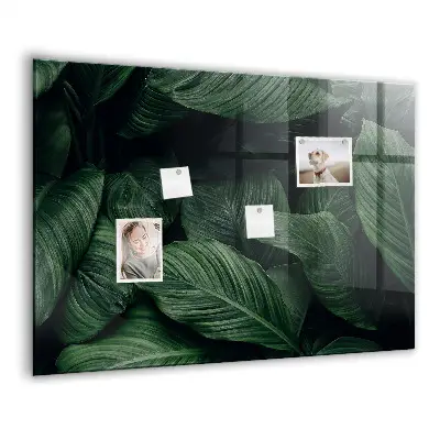 Magnet board Tropical monstera