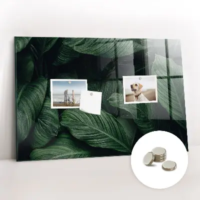 Magnet board Tropical monstera