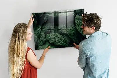 Magnet board Tropical monstera