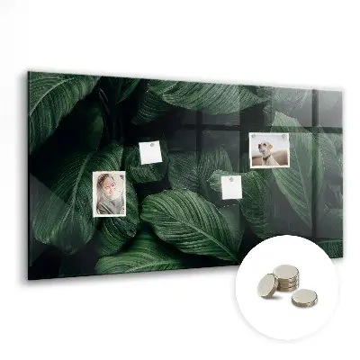Magnet board Tropical monstera