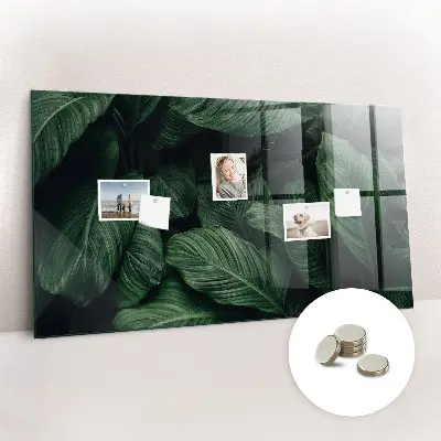 Magnet board Tropical monstera