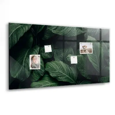 Magnet board Tropical monstera