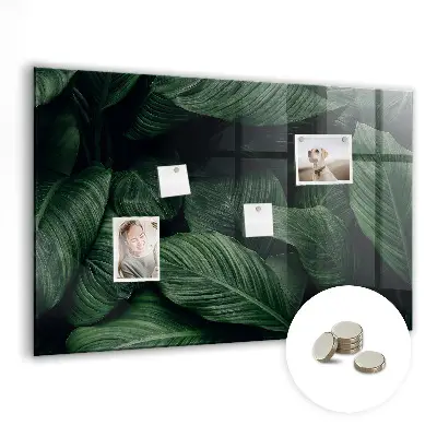 Magnet board Tropical monstera