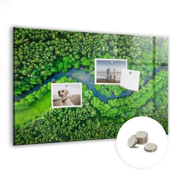Magnet board River in the forest