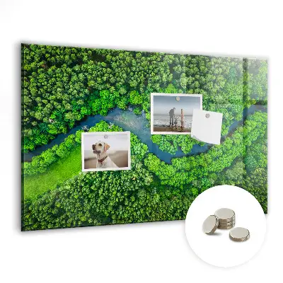 Magnet board River in the forest