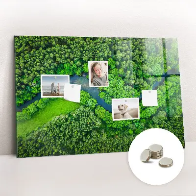 Magnet board River in the forest