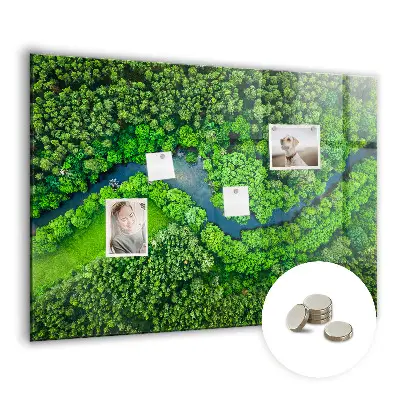 Magnet board River in the forest