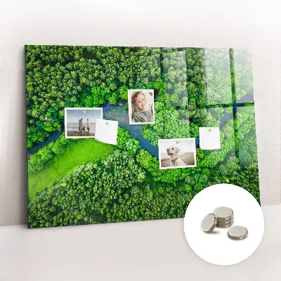 Magnet board River in the forest