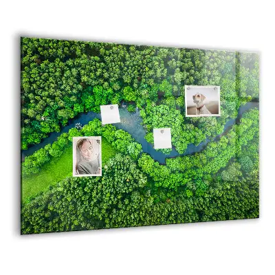 Magnet board River in the forest