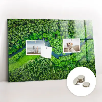 Magnet board River in the forest