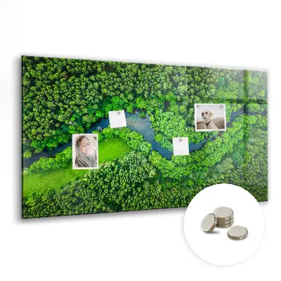 Magnet board River in the forest