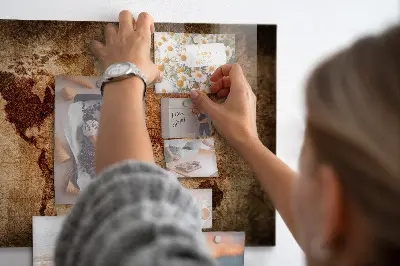 Magnetic wall board Old world map