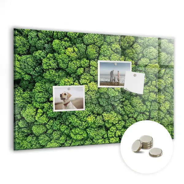Magnetic glass dry erase board featuring a forest aerial view