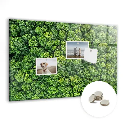 Magnetic glass dry erase board featuring a forest aerial view