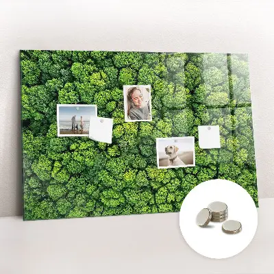 Magnetic glass dry erase board featuring a forest aerial view