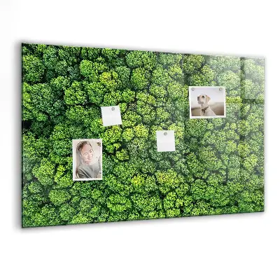 Magnetic glass dry erase board featuring a forest aerial view