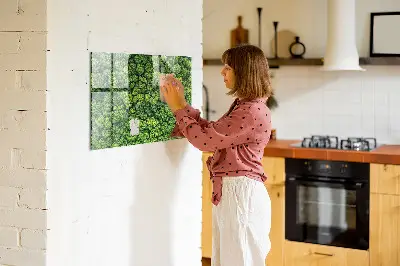 Magnetic glass dry erase board featuring a forest aerial view