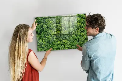 Magnetic glass dry erase board featuring a forest aerial view
