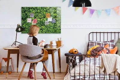 Magnetic glass dry erase board featuring a forest aerial view