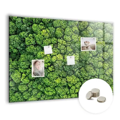 Magnetic glass dry erase board featuring a forest aerial view
