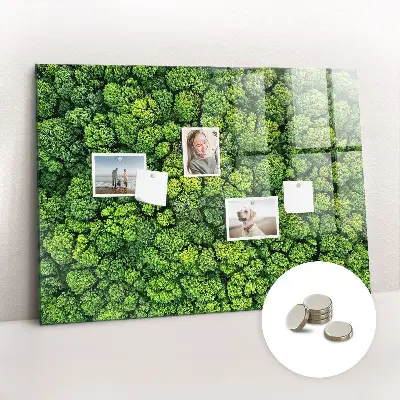 Magnetic glass dry erase board featuring a forest aerial view