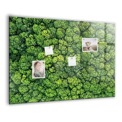 Magnetic glass dry erase board featuring a forest aerial view