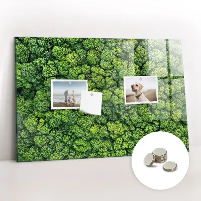 Magnetic glass dry erase board featuring a forest aerial view