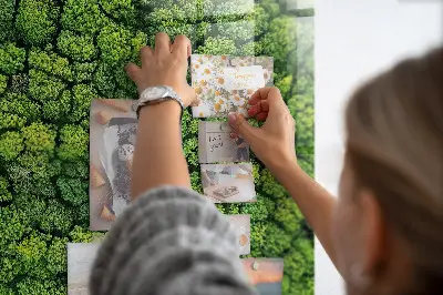 Magnetic glass dry erase board featuring a forest aerial view