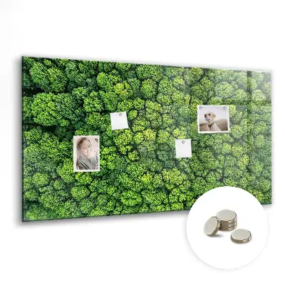 Magnetic glass dry erase board featuring a forest aerial view
