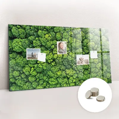 Magnetic glass dry erase board featuring a forest aerial view