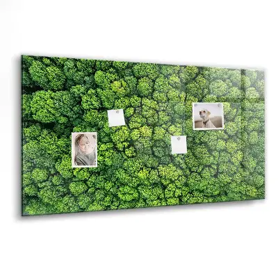 Magnetic glass dry erase board featuring a forest aerial view