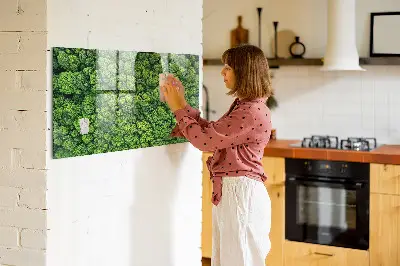 Magnetic glass dry erase board featuring a forest aerial view
