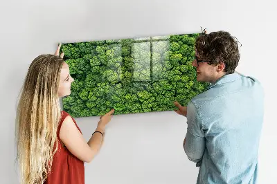 Magnetic glass dry erase board featuring a forest aerial view