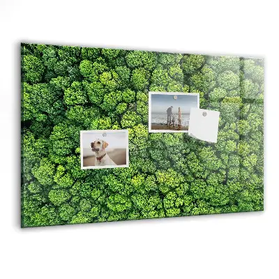 Magnetic glass dry erase board featuring a forest aerial view