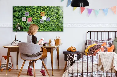 Magnetic glass dry erase board featuring a forest aerial view